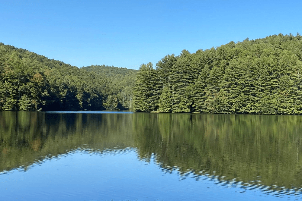 A tranquil lake reflects lush green trees under a clear blue sky.