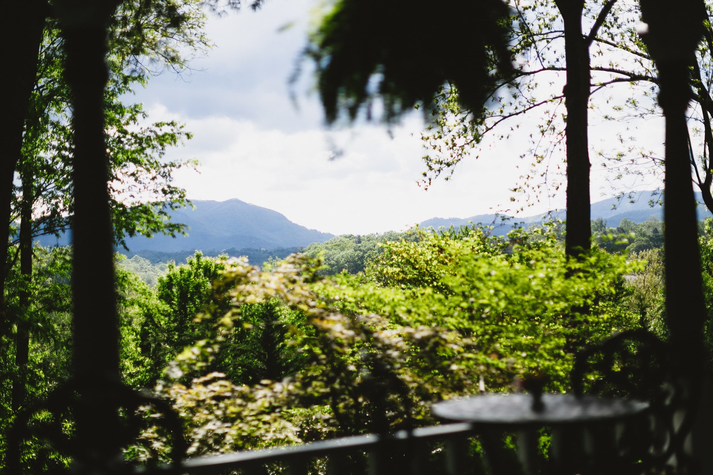 A blurred view of lush greenery and mountains under a cloudy sky.