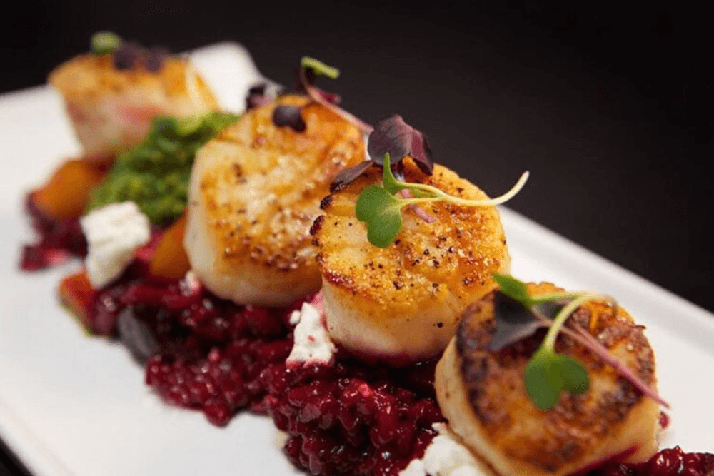 A plate of seared scallops garnished with microgreens, served atop a colorful bed of risotto and vegetables.
