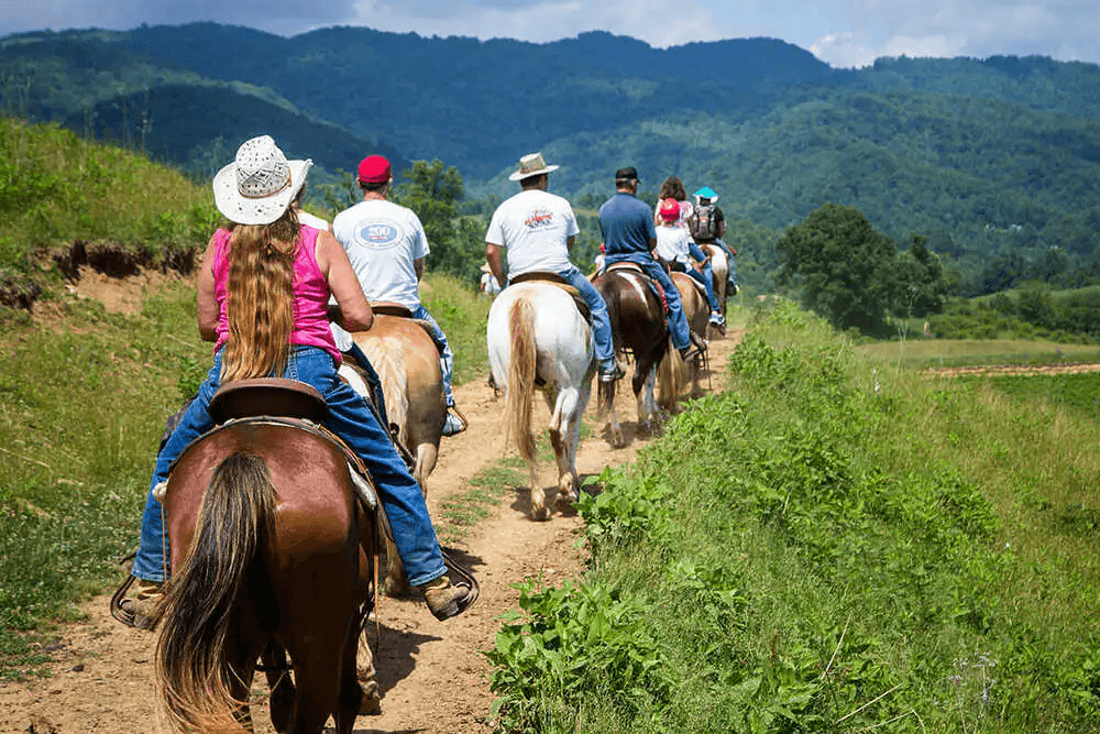 A group of people riding horses along a dirt path with mountains in the background.