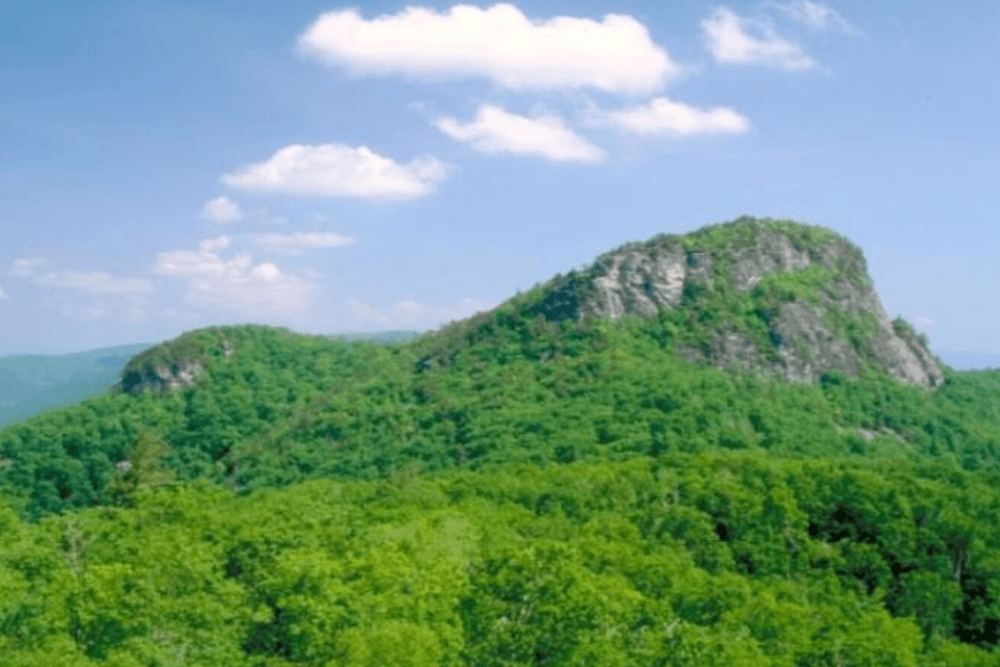 A scenic view of lush green hills under a sunny blue sky.